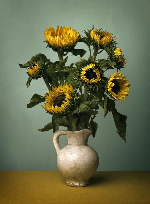 Tessa Posthuma de Boer - Sunflowers no.2