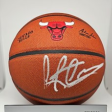 Chicago Bulls – NBA Basketbal – Dennis Rodman – Basketbal