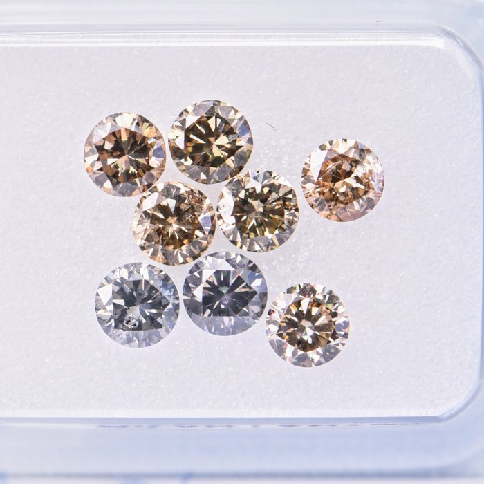 8 pcs 钻石 - 1.27 ct - 圆形 - Brown, Yellowish Brown, Pinkish Brown, Grey - VS1 - I1 Excellent  **No Reserve Price**