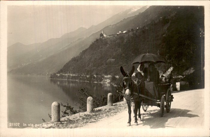 Fantasie, Tiere, Esel - Postkarte (53) - 1900-1920