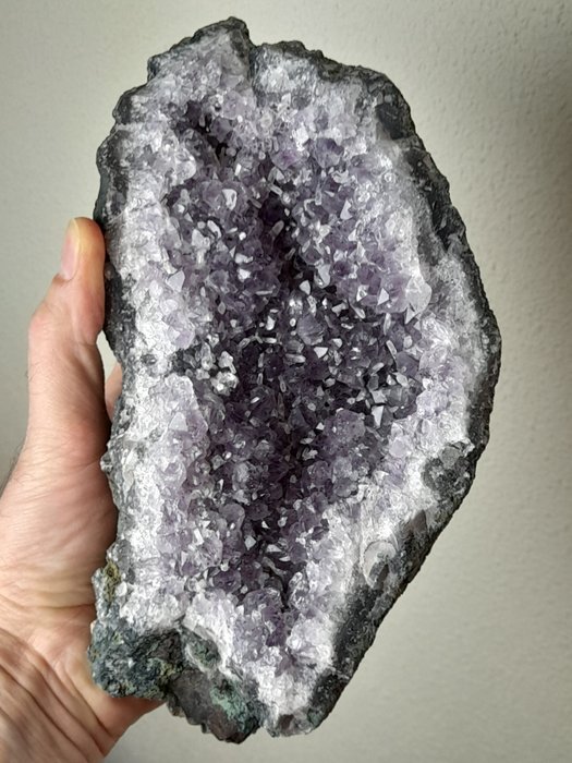 大塊紫水晶，帶有白色小晶體 - 高度: 11 cm - 闊度: 22 cm- 1.9 kg