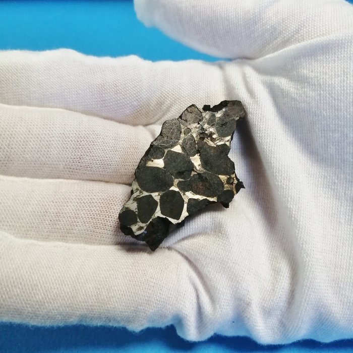Sericho-Pallasit-Meteoritenscheibe - Höhe: 45 mm - Breite: 25 mm - 21 g - (1)