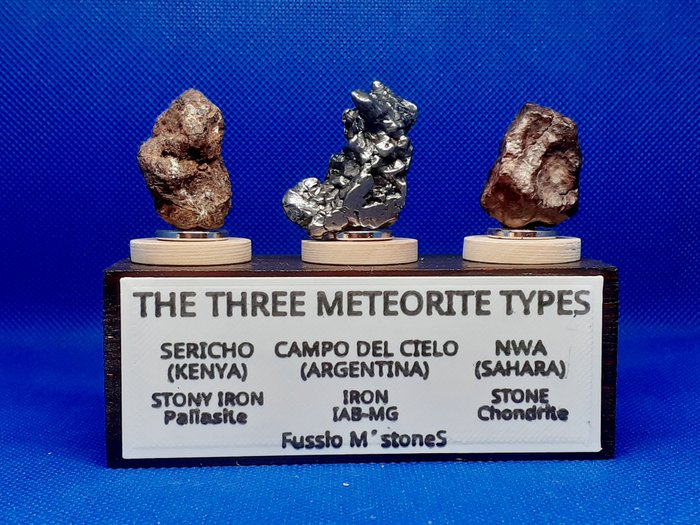 陨石系列///SERICHO 橄榄石///CAMPO DEL CIELO///NWA 球粒陨石///带质朴木质 自由形式 - 58.6 g - (3)