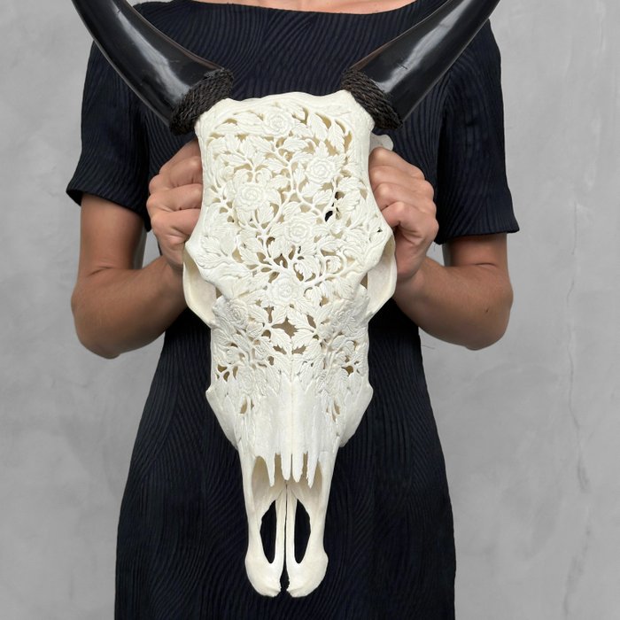 无底价 - 手工雕刻白牛头骨 - 玫瑰图案 - 雕刻的颅骨 - Bos taurus - 55 cm - 40 cm - 15 cm- 非《濒危物种公约》物种 -  (1)