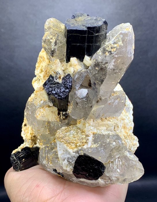 Füstkvarc kristályok természetes turmalin kristályokkal Mintadarab - Magasság: 132 mm - Szélesség: 112 mm- 1100 g - (1)