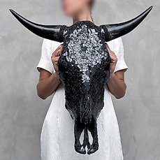 GEEN RESERVEPRIJS – Prachtige stierenschedel met inleg van glasmozaïek- Schedel – Bos Taurus – 50 cm – 54 cm – 17 cm- Geen-CITES-soort –  (1)