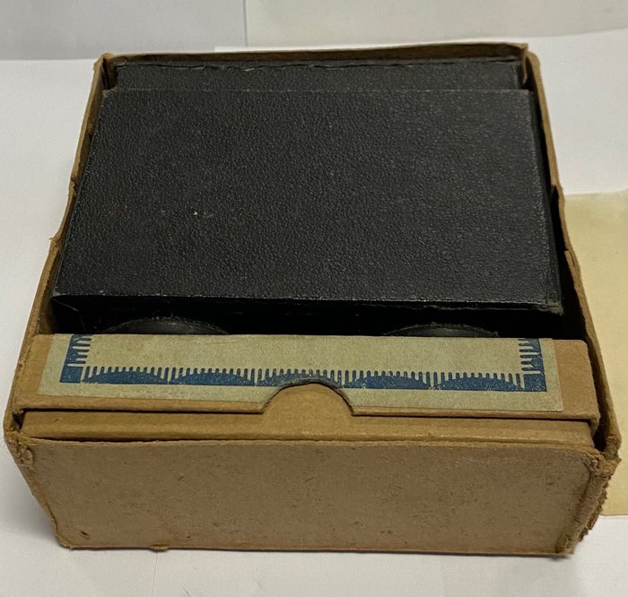 Unknown Stereoscope Observator