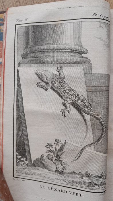 Buffon - Histoire naturelle des ovipares, lézards et des serpens. Tome 2 - 1788