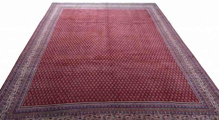 Sarouck - Carpetă - 379 cm - 284 cm