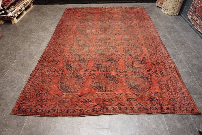 Afghan - Carpet - 338 cm - 231 cm