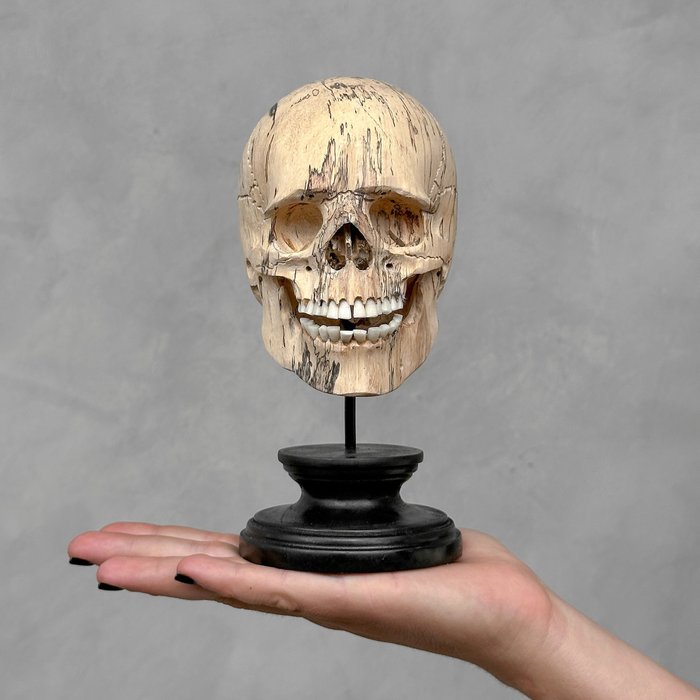 Udskæring, NO RESERVE PRICE - Stunning hand-carved wooden human skull with a beautiful natural grain - 17 cm - Tamarind træ - 2024