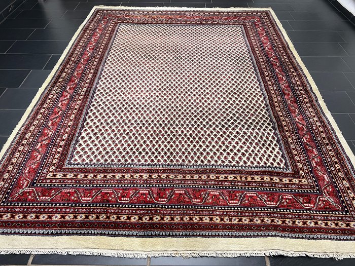 萨鲁克·米尔 - 小地毯 - 340 cm - 250 cm