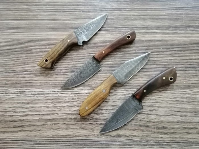 Table Skinning Knife Handmade - Frugtkniv (4) - Damask, foldet 15N20&1095 stål, messingstifter, træ