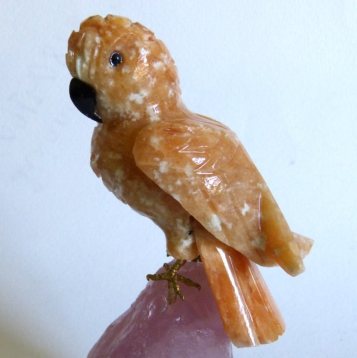 玫瑰石英上的日光石鸚鵡 - 14.5 x 5 cm- 463 g
