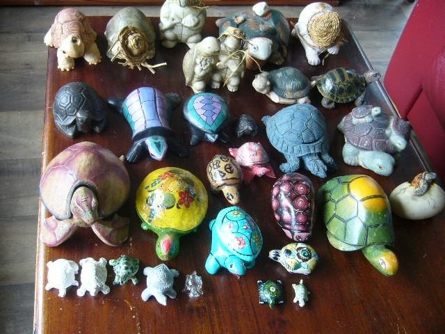 Thematische Sammlung - 30x Schildkröten