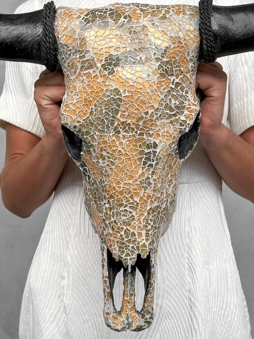 INGEN RESERVEPRIS - Fantastisk bøffelkranie med glasmozaic indlæg - Kranie - Bubalus Bubalis - 47 cm - 60 cm - 13 cm- Ikke-CITES arter -  (1)