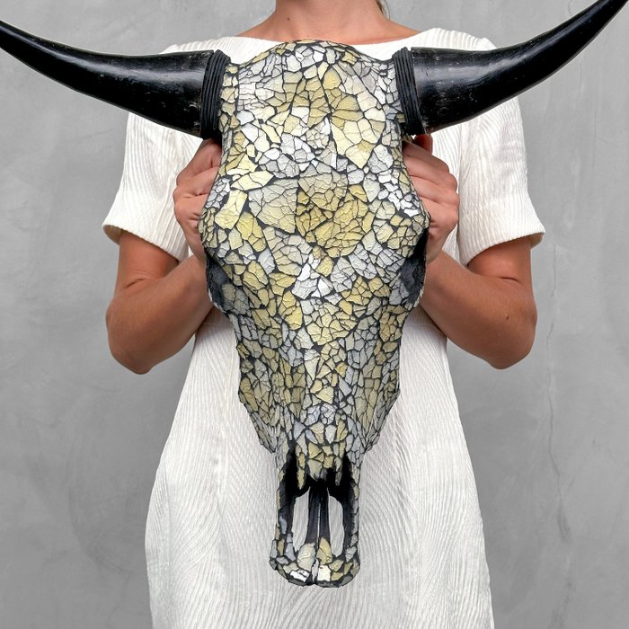 無底價 - 頭骨藝術 - 大型正宗公牛頭骨 - 帶馬賽克鑲嵌的玻璃 - 頭骨 - Bos Taurus - 49 cm - 51 cm - 21 cm- 非《瀕臨絕種野生動植物國際貿易公約》物種 -  (1)