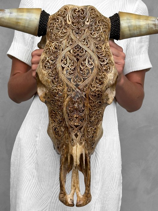 无底价 - 正宗棕色手工雕刻公牛头骨 - 传统巴厘岛图案 - 雕刻的颅骨 - Bos Taurus - 49 cm - 53 cm - 20 cm- 非《濒危物种公约》物种