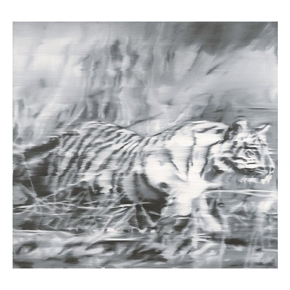 Gerhard Richter (1932) - Tiger, 1965 - Limited Artprint Edition - Edition of 500 - 70x70cm
