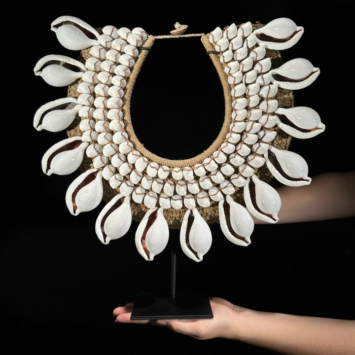 装饰饰品 - NO RESERVE PRICE - SN1 - Decorative Shell Necklace on Custom Stand - - 印度尼西亚 