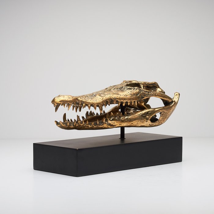 雕塑, Saltwater Crocodile Skull fashioned in bronze, on custom stand - Bronze - 21 cm - 黄铜色