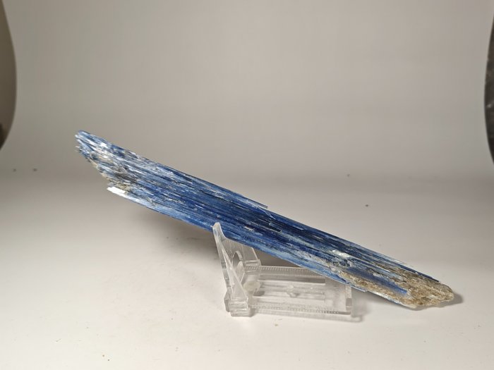 Kyanitt Samlede krystaller - Høyde: 22 cm - Bredde: 2.5 cm- 129 g