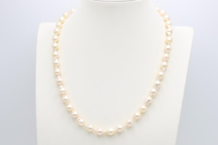 Halskette - 18 kt Gelbgold Perle 