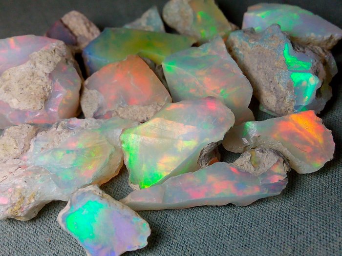 64,4 ct - Natürliche Opale roh- 12.88 g