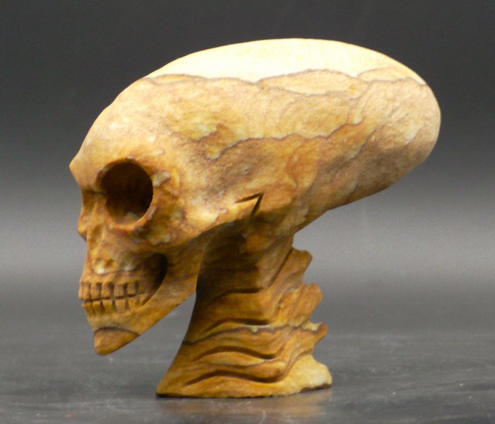 Mesterlig skulpturert jaspis alienskalle med forlenget hode - kunstverk med magi Utskåret hodeskalle - - - 80 mm - 100 mm - 45 mm