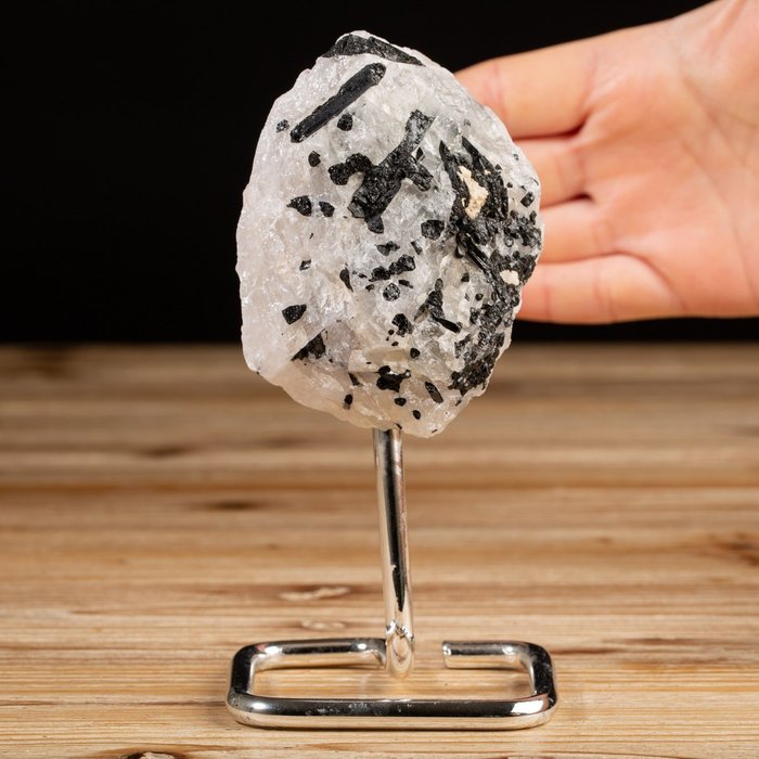 鋼底座上的電氣石石英 - 白色石英和黑色電氣石碎片 - 高度: 88 mm - 闊度: 68 mm- 392 g