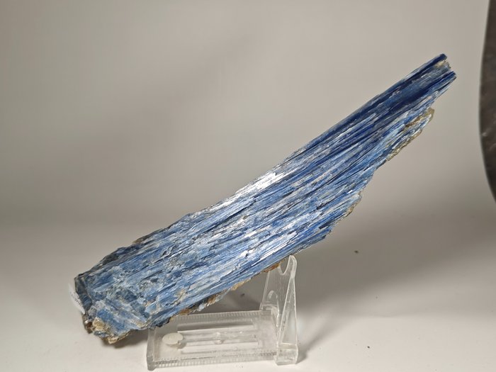 Kyanit Samlade kristaller - Höjd: 22 cm - Bredd: 5 cm- 600 g