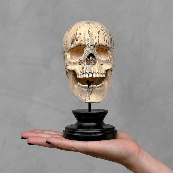 Rzeźba, NO RESERVE PRICE - Hand-carved Wooden Human Skull With Stand - 17 cm - Drewno Tamaryndowca - 2024