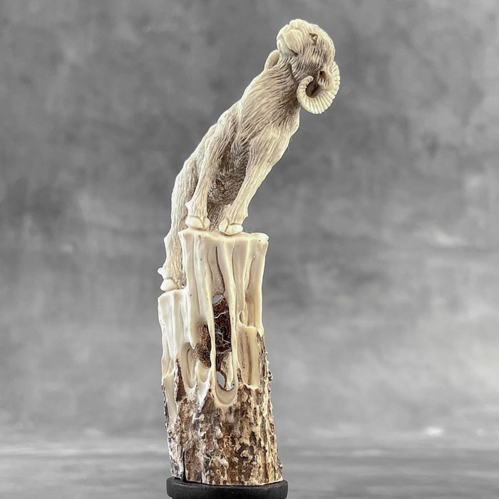 Schnitzerei, NO RESERVE PRICE - A Goat Carving from a deer antler on a stand - 16 cm - Hirschgeweih - 2024