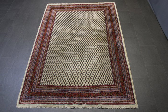 薩魯克·米爾 - 小地毯 - 288 cm - 195 cm