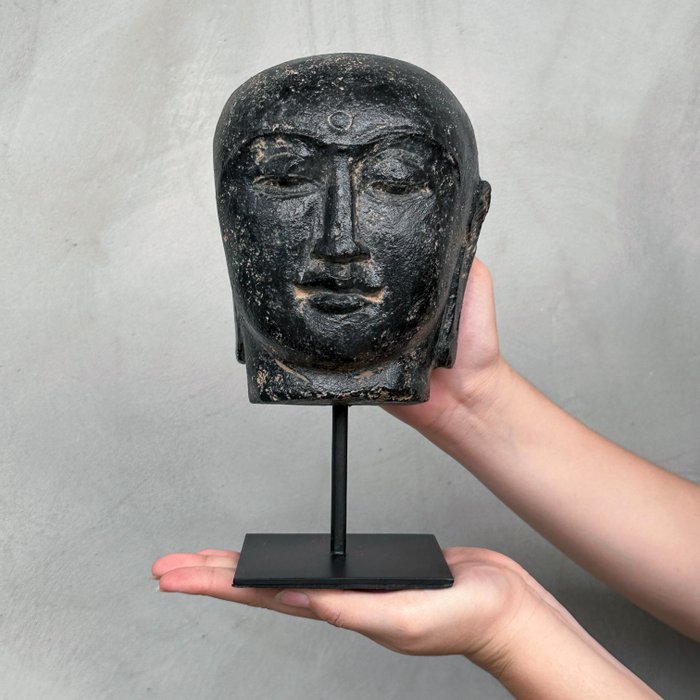 Άγαλμα, NO RESERVE PRICE - Budha Head on stand - 22 cm - Πέτρα Λάβας - 2024