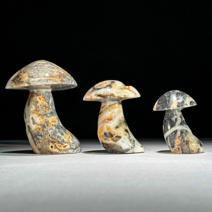 SEM PREÇO DE RESERVA - Maravilhoso conjunto de Cristal Zebra - Em forma de cogumelo - Altura: 10 cm - Largura: 7 cm- 1000 g - (3)