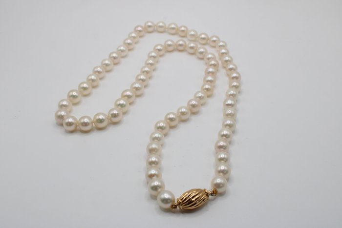 Halskette - 18 kt Gelbgold Perle 