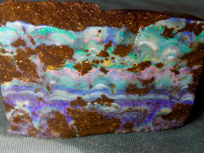 277,5 ct – Wysoka jakość – Ogromny australijski opal boulderowy – Szorstki- 55.5 g