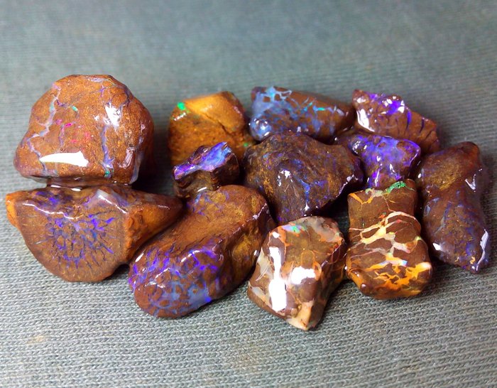 65,6 ct - Australijskie „Multicolor” głazowe opale - Szorstki- 13.12 g