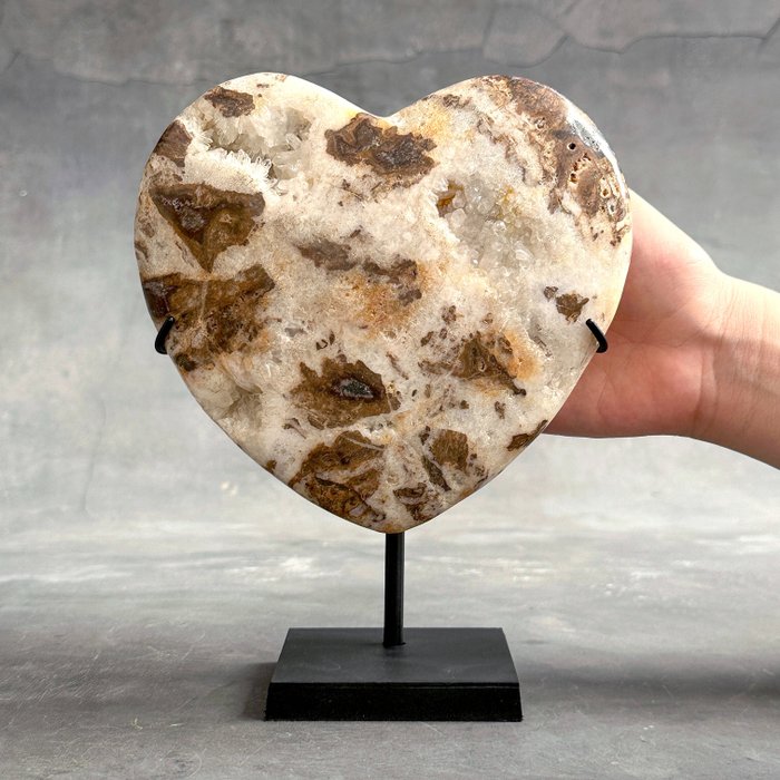 AUCUN PRIX DE RÉSERVE - Magnifique coeur en forme de cristal zèbre avec support personnalisé - Cœur- 1900 g
