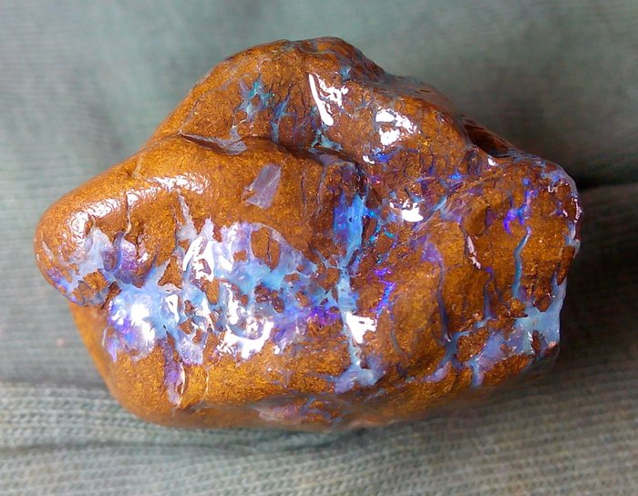 81,7 ct - Opale Boulder naturale australiano - Grezzo- 16.34 g