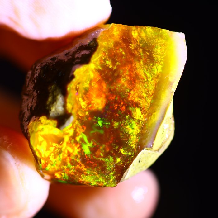 64 cts - Crystal Opal - Rough- 12.8 g