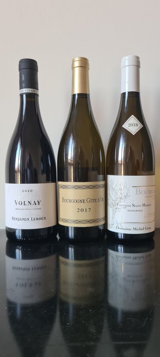 2018 Domaine Michel Gros Bourgogne blanc "Fontaine S. Martin", 2017 Philippe Charlopin Bourgogne "Côte - Burgund & 2020 Benjamin Leroux Volnay - 3 Flaschen (0,75 l)