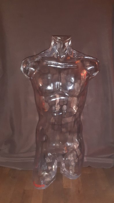 Eminence - 人體模型 - 塑料