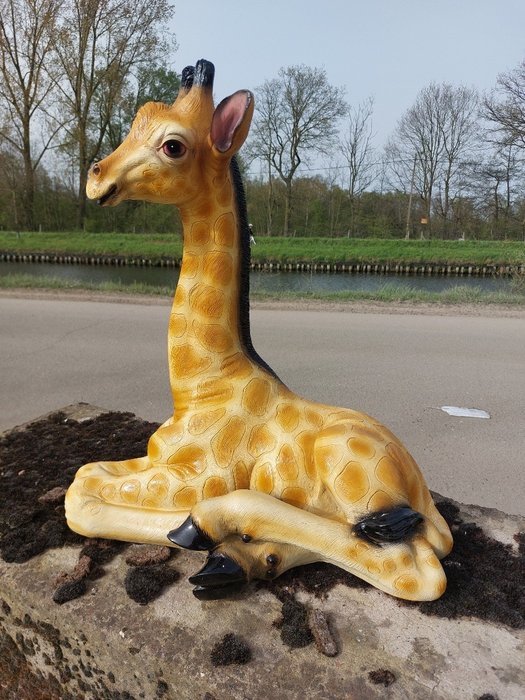 Estátua, lying lifelike baby giraffe - 57 cm - poliresina