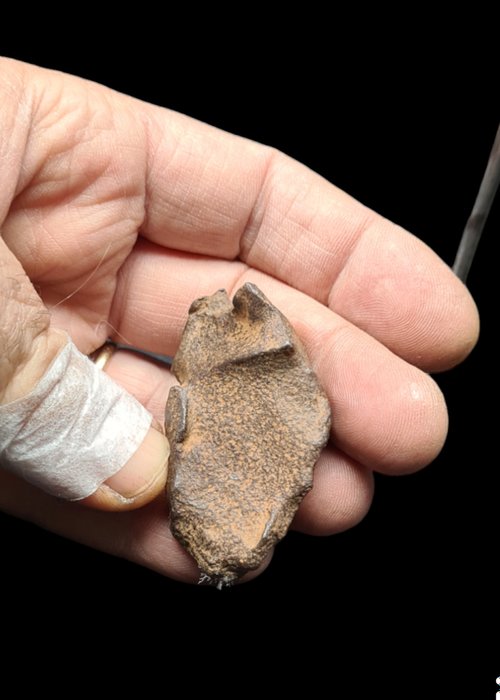 Gebel Kamil 铁陨石标本（114.7 克） - 高度: 6 cm - 宽度: 4 cm - 114.7 g - (1)
