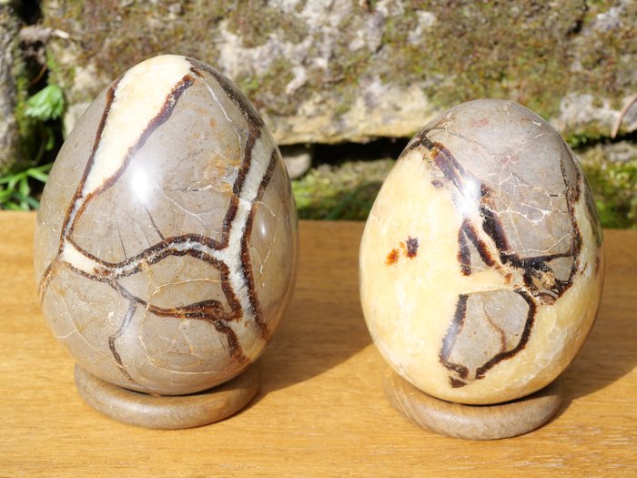 Χωρίς κράτηση Septarie Eggs with Stand Σχήμα αυγού - Ύψος: 103 mm - Πλάτος: 78 mm- 1575 g - (2)