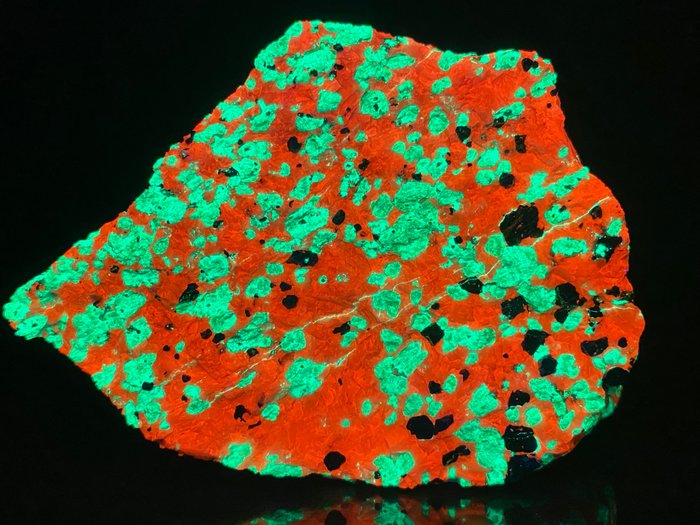 Extremt ljusa och stora Willemite-prickar i kalcit. Fluorescent - Höjd: 8.5 cm - Bredd: 6 cm- 465 g - (1)