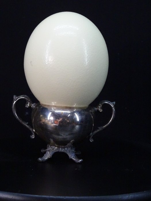 Ostrich Egg on stand Taxidermie volledige montage - Struthio camelus - 22 cm - 14 cm - 14 cm - Geen-CITES-soort - 1