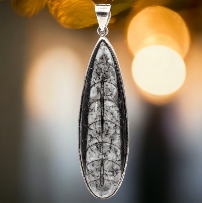 370 million years ago Orthoceras Fossil Sterling Silver Pendant - Height: 77 mm - Width: 20 mm- 20 g